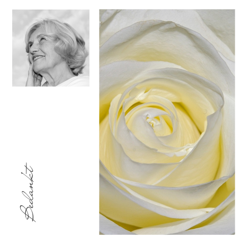 Dankbetuiging voor een vrouw met foto en wit gele roos