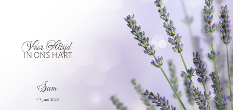 Bedankkaart modern paars met lavendel