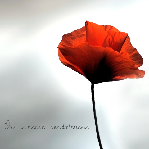 Our sincere condolences card