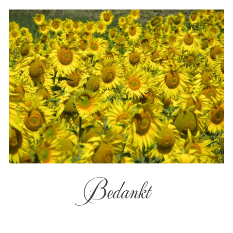 Moderne bloemen bedankkaart met gele zonnebloemen