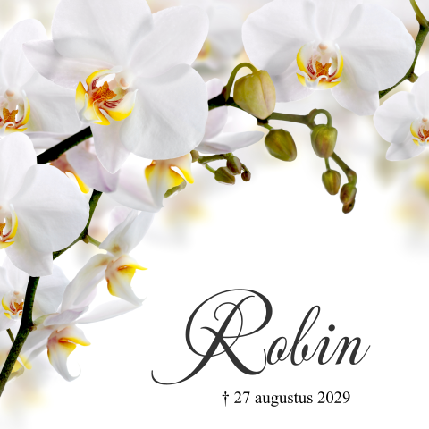 Mooie stijlvolle rouwkaart met witte orchidee