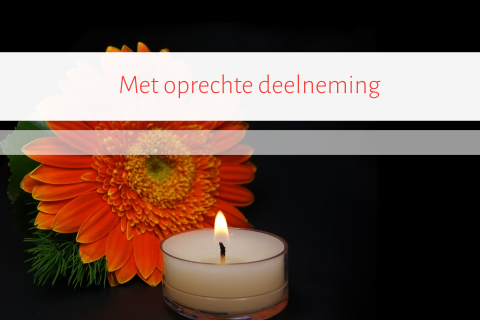 Kaart met oprechte deelneming met rode bloem en brandende kaars