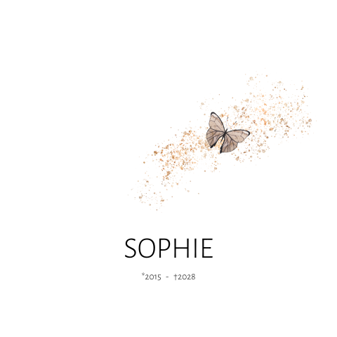 Rouwkaart met een vlinder en goudkleurig accent