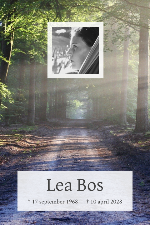 Mooie rouwkaart met foto van groene bomenlaan