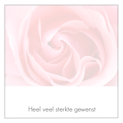 Condoleance kaart met roze roos en grijs rouwkader