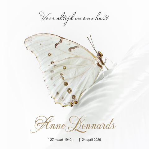 Rouwkaart maken met een vlinder wit