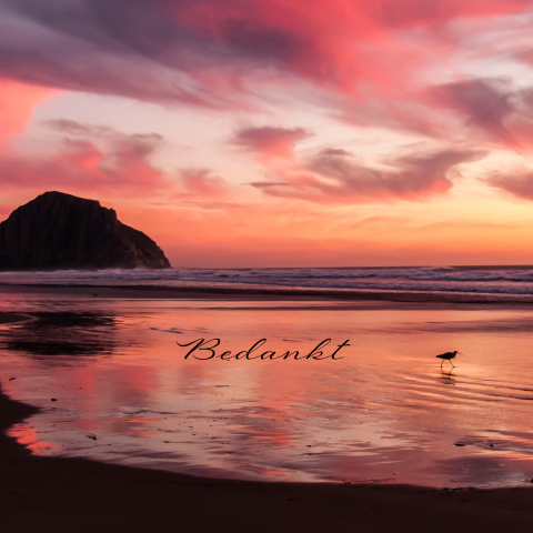 Prachtige gefotografeerde bedankkaart landschap met ondergaande zon