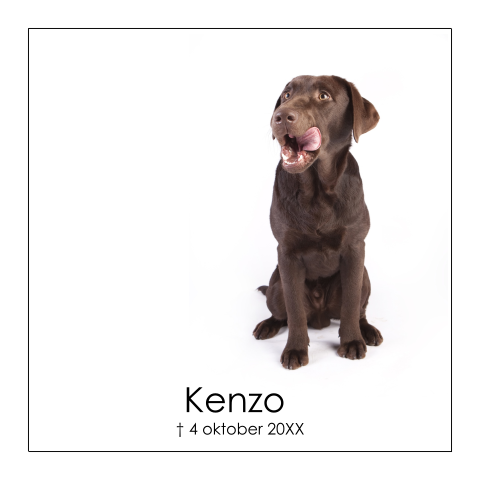 Rouwkaart voor een hond