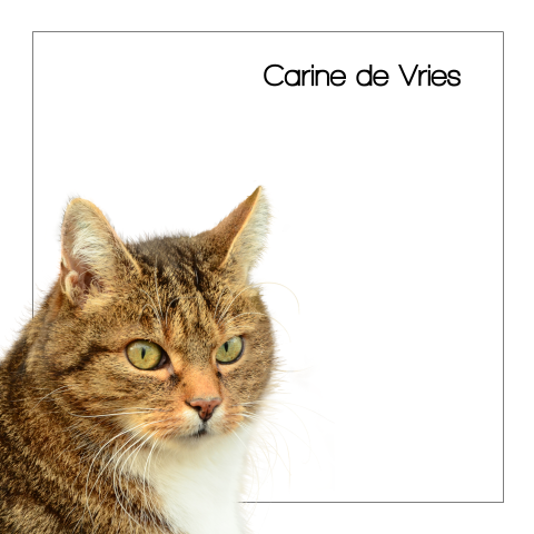 Foto rouwkaart met foto van een kat poes