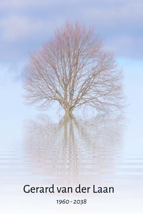 Rouwkaarten met boom weerspiegeling