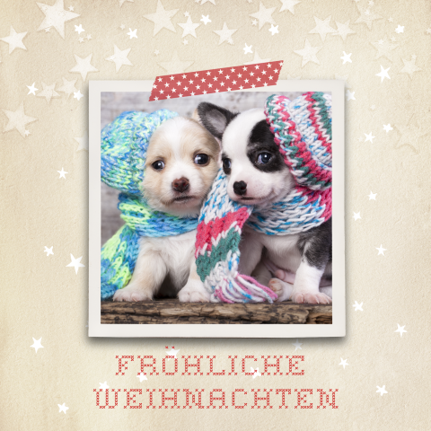 Hübsche Weihnachtskarte mit individuellem Bild und Schneeflocken