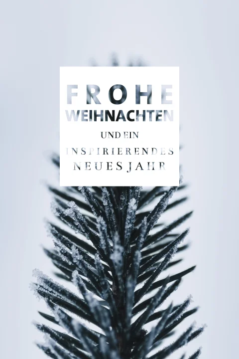 Schneebedeckter Tannenzweig