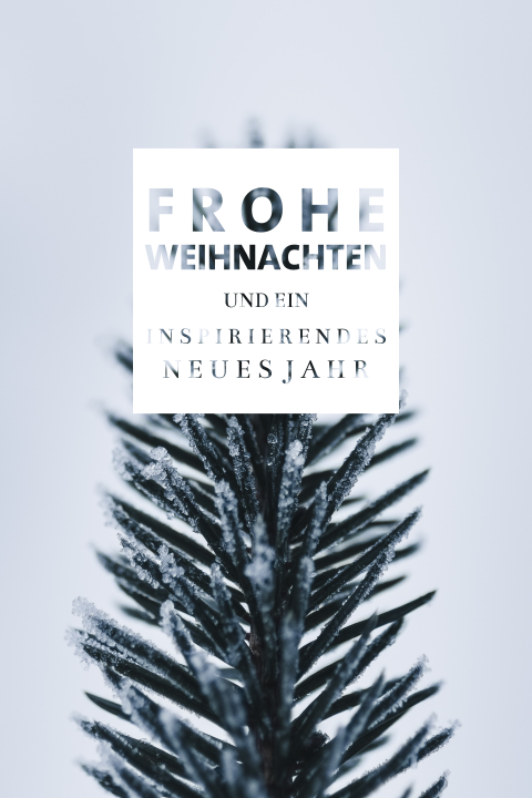 Schneebedeckter Tannenzweig