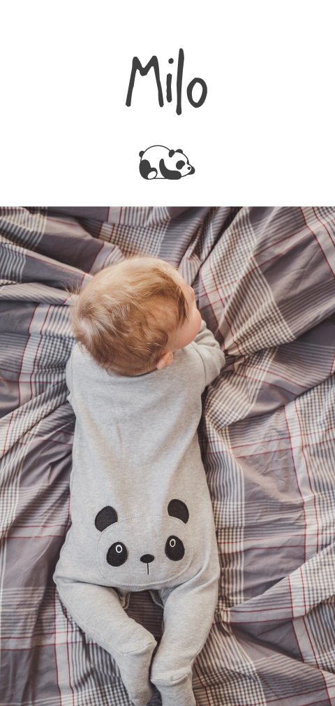 Niedliche Geburtskarte mit einem kleinen Panda