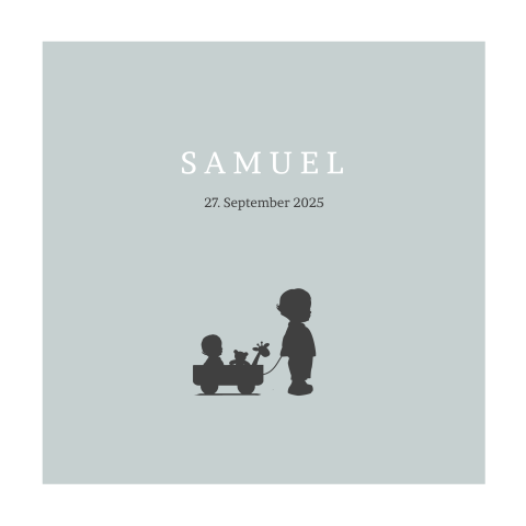 Hübsche Geburtskarte für zwei Brüder