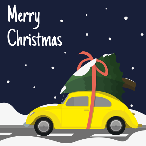 Weihnachtskäfer nächtlich