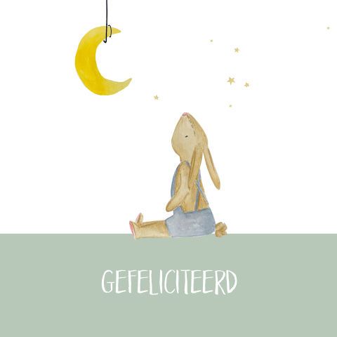 wenskaart konijn jongen maan