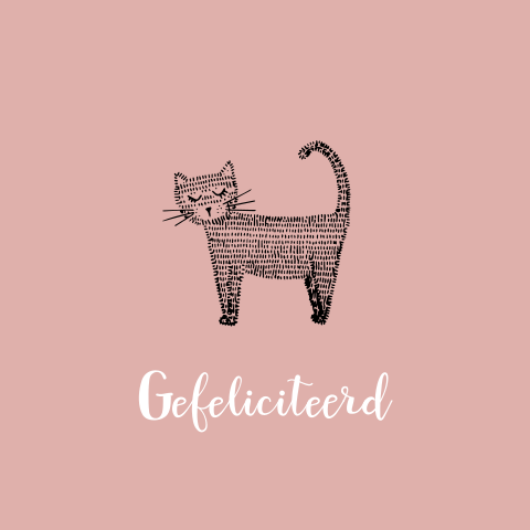 wenskaart met kat