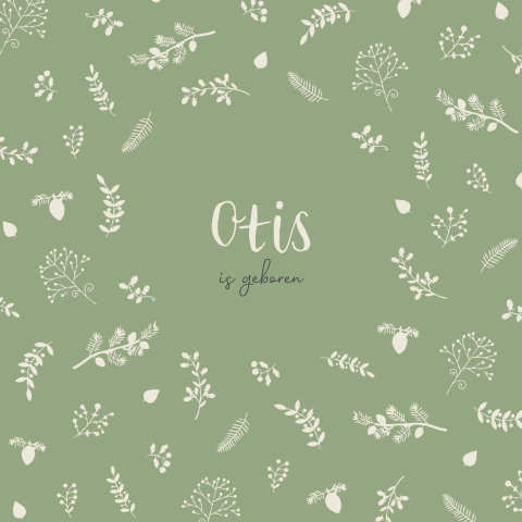 geboortekaartjes takjes, besjes en bladeren