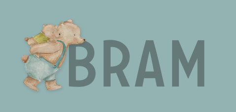 stoer geboortekaartje jongen twee beertjes broertjes