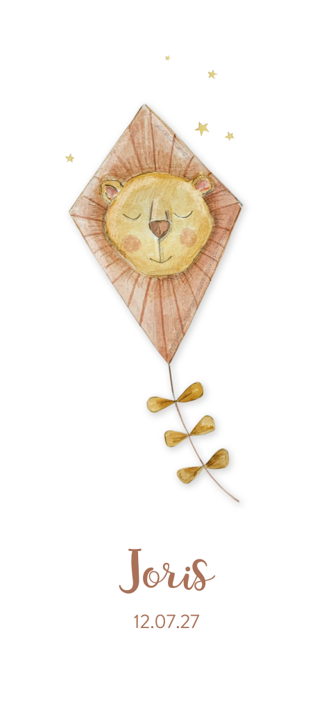 stoer geboortekaartje jongen leeuw vlieger