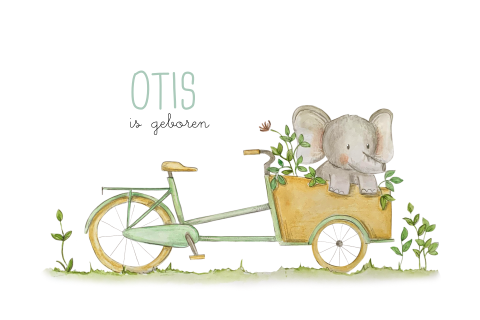 vrolijk geboortekaartje jongen bakfiets en olifant