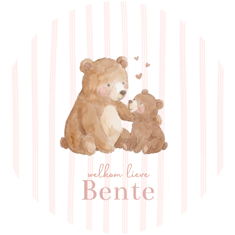 rond geboortekaartje met twee lieve beertjes meisje