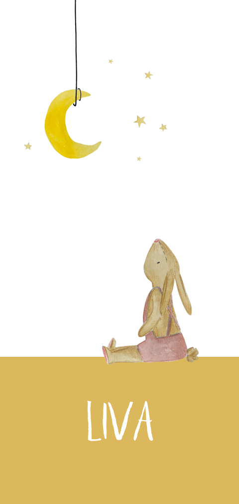 geboortekaartje met konijn en maan