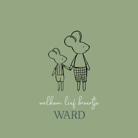 Geboortekaartje broertje met twee muisjes