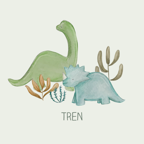 geboortekaartje dinosaurus