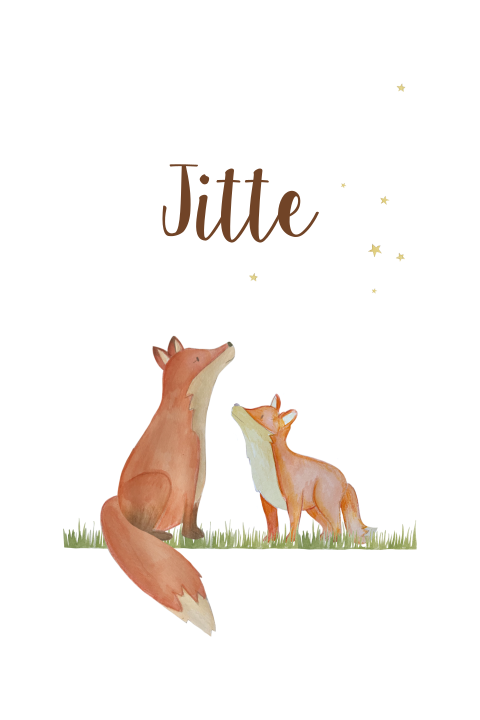 poster twee vosjes
