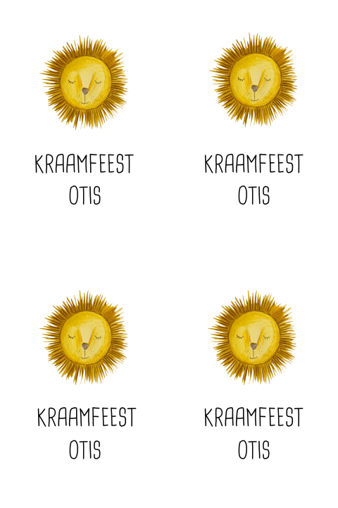 DIY kraamfeest kaartjes met leeuw