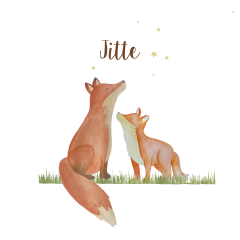 Lief geboortekaartje met twee vosjes
