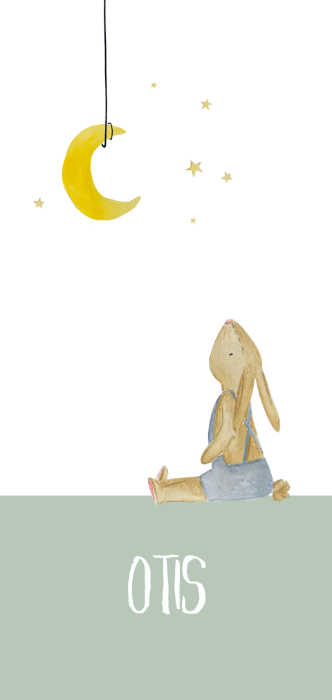 geboortekaartje met konijn en maan voor jongen