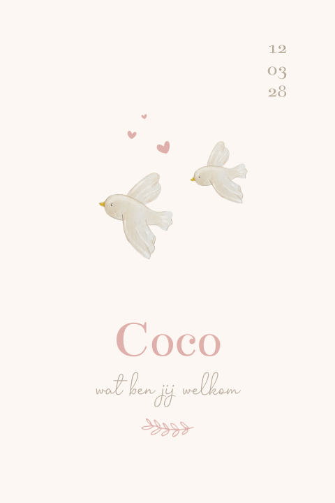 geboortekaartje met twee witte vogels