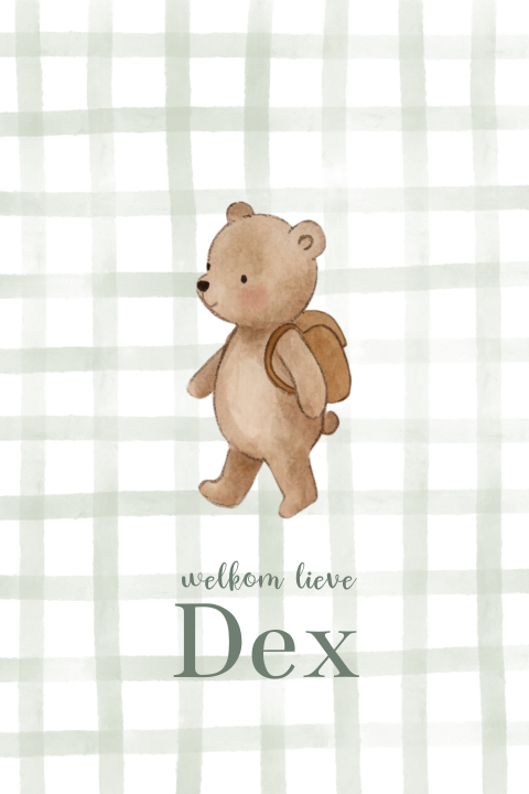 geboortekaartje beertje met rugzak op ruit