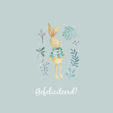 wenskaart jongen geboren met knuffel konijn en takjes