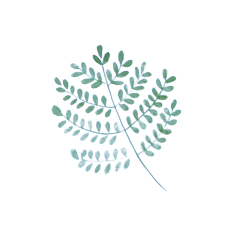 Sluitsticker takje