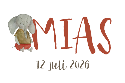 raamsticker jongen olifant geboorte