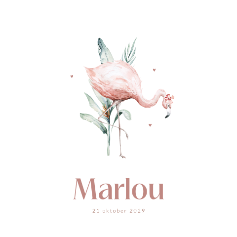 Flamingo en hartjes geboortekaartje voor een meisje