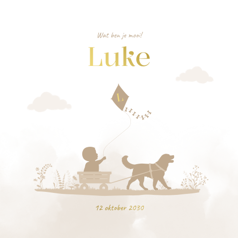 Luxe jongens geboortekaartje met silhouet baby in kar met hond
