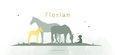 Silhouet geboortekaartje met paarden en foliedruk