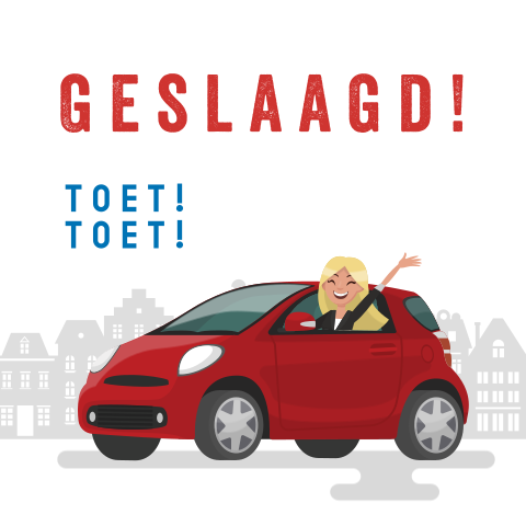 Rijbewijs behaald wenskaart met vrouw in auto