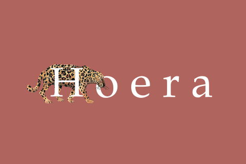 Stoere felicitatiekaart 'Hoera' met panter