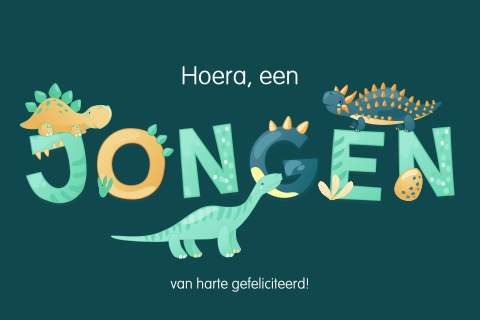 Vrolijk gekleurde geboorte felicitatiekaart jongen met dino's