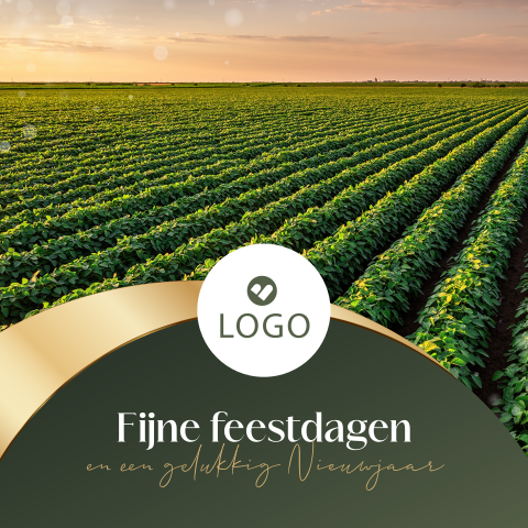 Agrarische zakelijke kerstkaart met goudlook kader