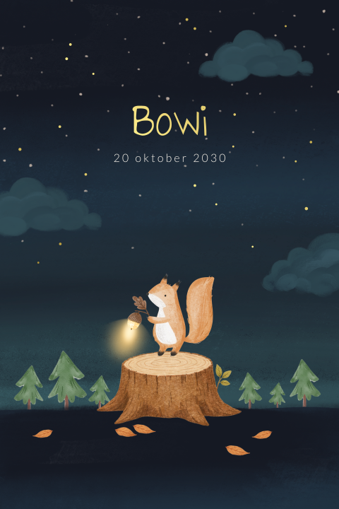 Geboortekaartje jongen met eekhoorn onder fonkelende sterren