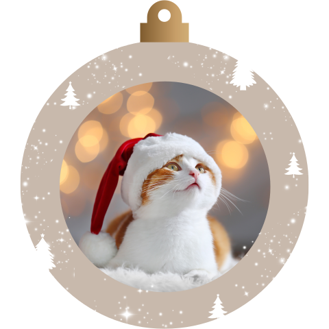 Kerstbal kerstkaart in aparte vorm met foto kat voor in kerstboom