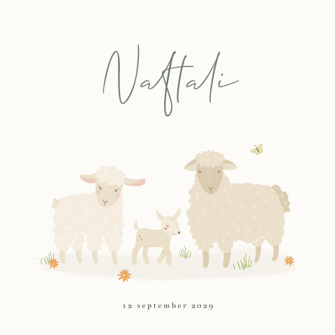 Schaap met lammetje geboortekaartje christelijk genderneutraal