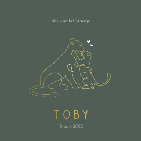 Dieren geboortekaartje met lijntekening van leeuwen broertjes